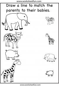 mother and baby animals